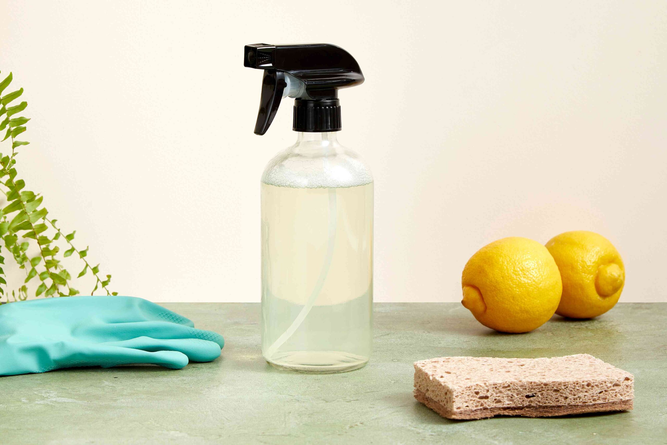 General Cleaning Supplies: